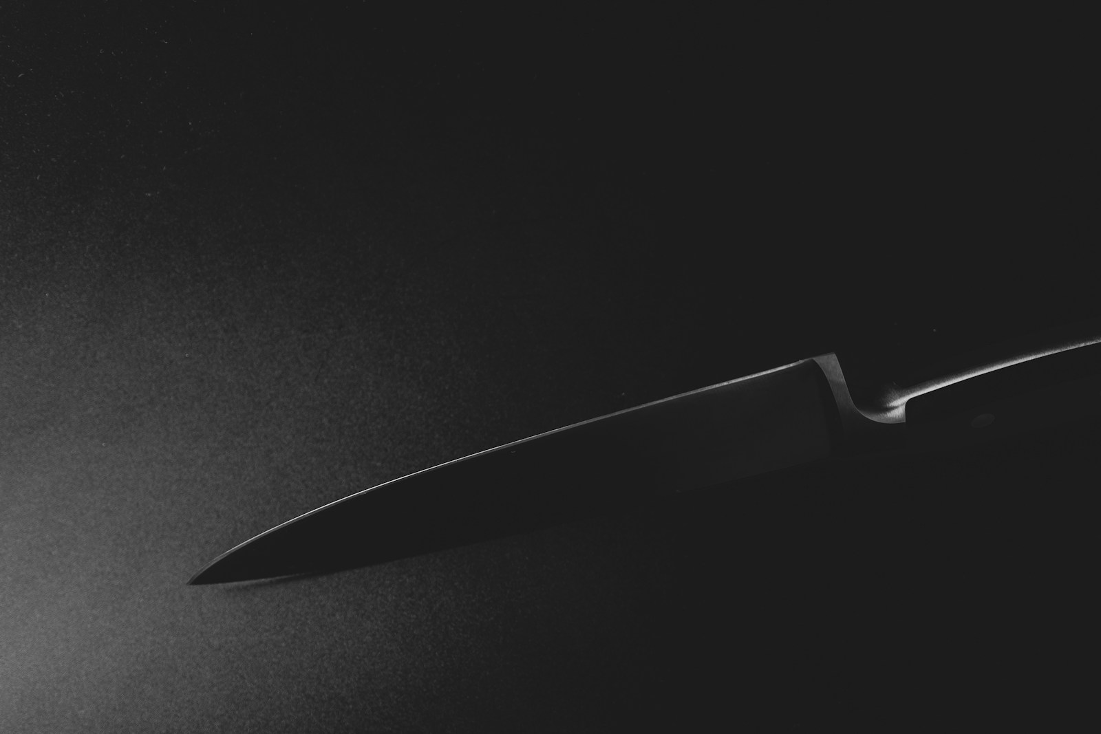 Chef / santoku style